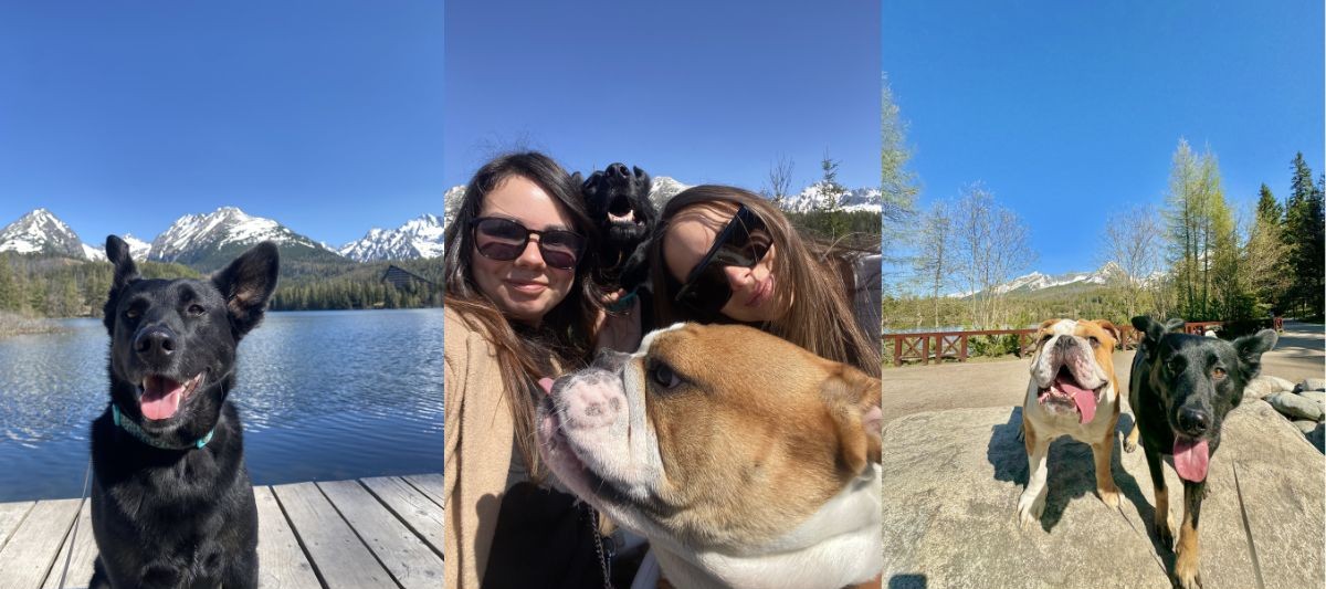 štrbské pleso so psom